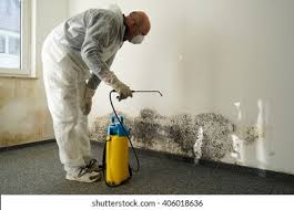 Reliable Dresden, OH Mold Remediation Solutions